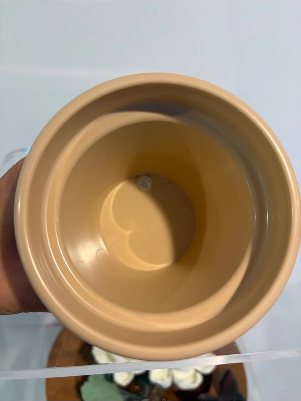 Neutral Beige Smiling Planter - Brand Unspecified